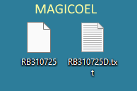 MAGICOEL Ricevute Bancarie, I 2 file generati MAGICOEL Ricevute Bancarie, I 2 file generati